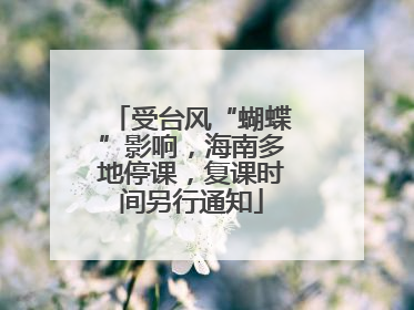 受台风“蝴蝶”影响，海南多地停课，复课时间另行通知